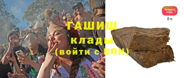 шишки Корсаков