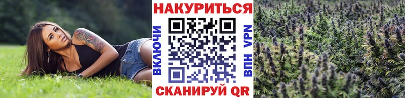 Бошки Шишки OG Kush Вязники